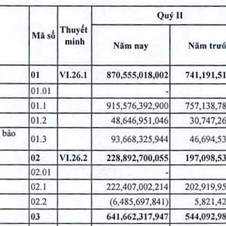 PJICO với mã chứng khoán PGI: Lợi nhuận tăng mạnh bất chấp Covid-19