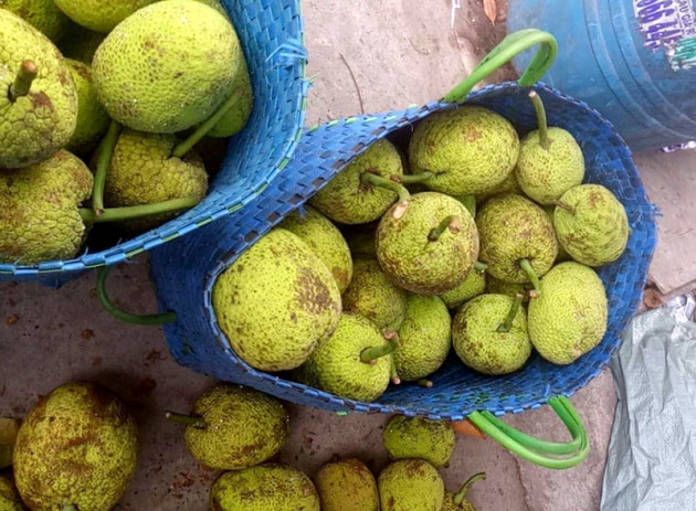 Quả lạ miền Tây tràn ra Hà Nội: Ngoài trông như mít, trong lại giống khoai
