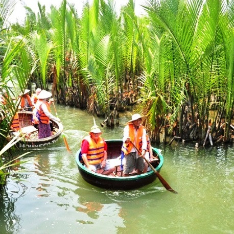 Quảng Nam rút tờ trình chuyển đổi 1ha rừng dừa làm khu đô thị Cồn Tiếnicon