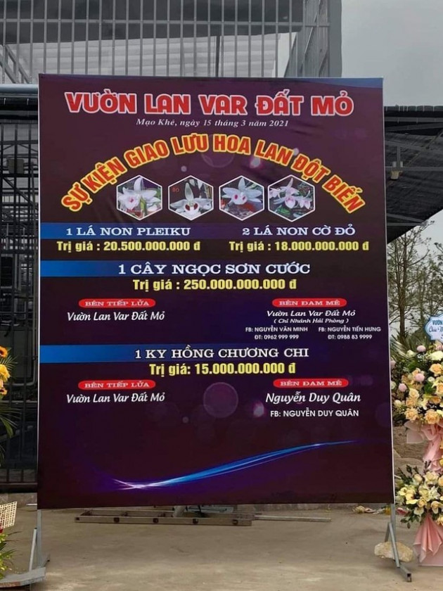 Quảng Ninh vào cuộc xác minh thương vụ lan var 250 tỷ đồng