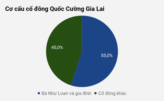 Quốc Cường Gia Lai sống nhờ tiền chủ tịch, tổng giám đốc cho mượn - 2