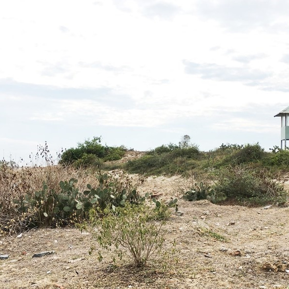 Quy định mới nhất về điều kiện chuyển nhượng đất nông nghiệpicon