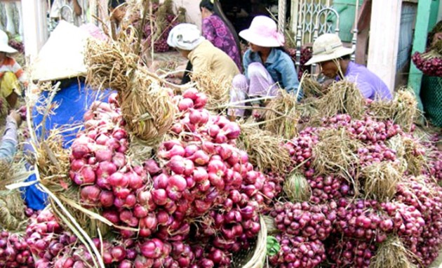 nông sản việt,nông sản giảm giá,giải cứu nông sản