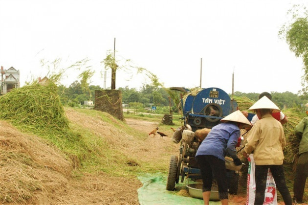 Rơm khô, vỏ trấu có giá bất ngờ trên sàn thương mại điện tử