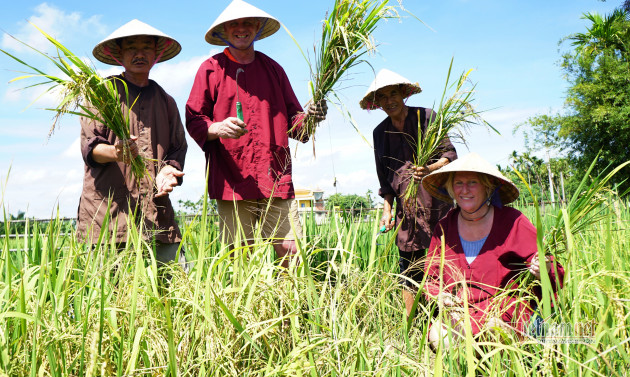 Rủ Tây ra đồng cưỡi trâu, dầm bùn phơi nắng... dân Hội An thu tiền đô