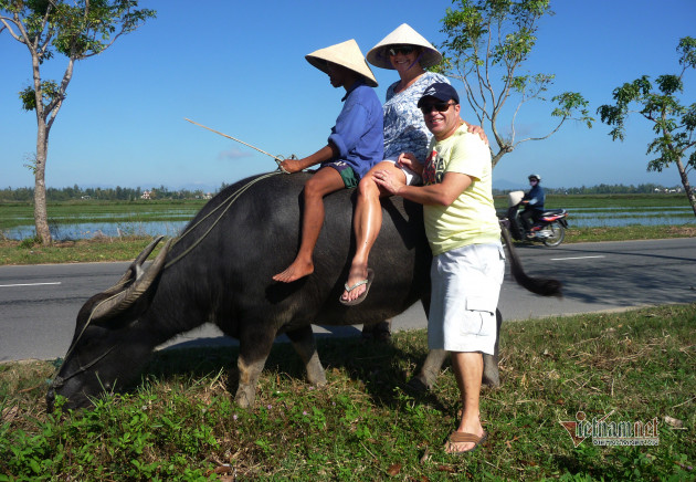 Rủ Tây ra đồng cưỡi trâu, dầm bùn phơi nắng... dân Hội An thu tiền đô