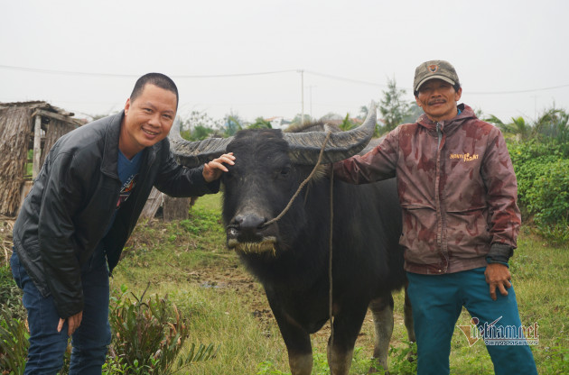 Rủ Tây ra đồng cưỡi trâu, dầm bùn phơi nắng... dân Hội An thu tiền đô