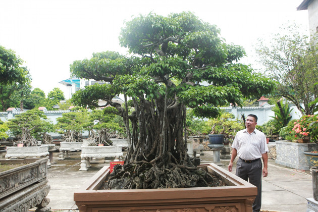 Sanh cổ “Ngũ long tranh châu” mua từ năm 1996 với giá 100 cây vàng - 2