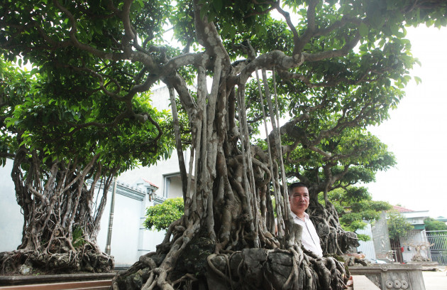 Sanh cổ “Ngũ long tranh châu” mua từ năm 1996 với giá 100 cây vàng - 4