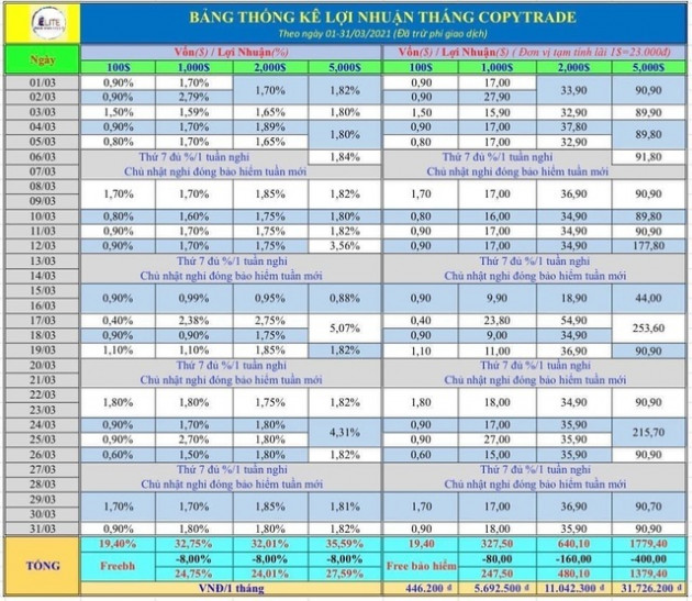 Sập sàn Busstrade bao lãi 30%/tháng, người chơi tóa hỏa, lo mất tiền