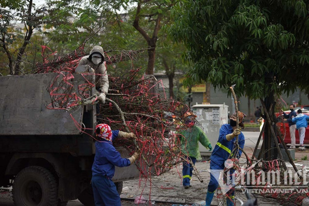 Sát giao thừa, dân Hà Nội đổ ra vỉa hè mót đào rừng về chơi Tết