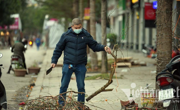 Sát giao thừa, dân Hà Nội đổ ra vỉa hè mót đào rừng về chơi Tết