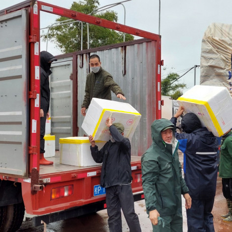 Sau Tết hàng dồn lên Móng Cái, 1 tuần hơn 7.300 tấn thông sang Trung Quốcicon