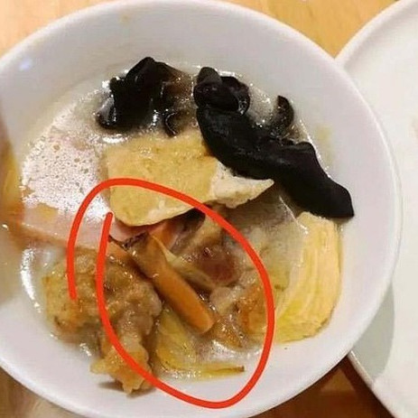 Sốc: Đầu bếp nhổ nước bọt vào thức ăn của thực kháchicon