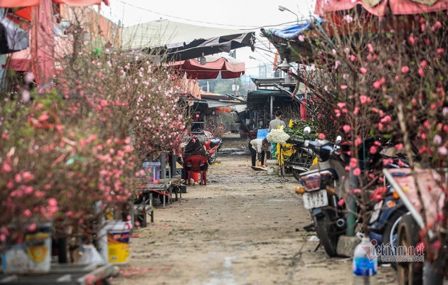 Tai họa ngày cận Tết, cả làng hoa Hà Nội 'ngồi trên đống lửa'