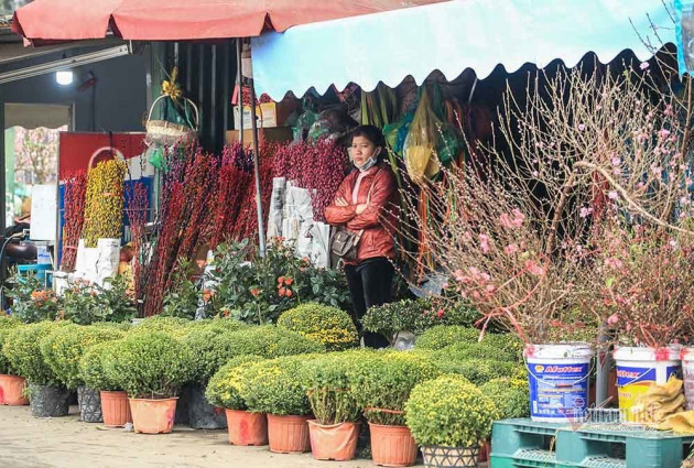 Tai họa ngày cận Tết, cả làng hoa Hà Nội 'ngồi trên đống lửa'