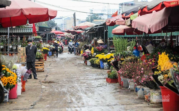 Tai họa ngày cận Tết, cả làng hoa Hà Nội 'ngồi trên đống lửa'