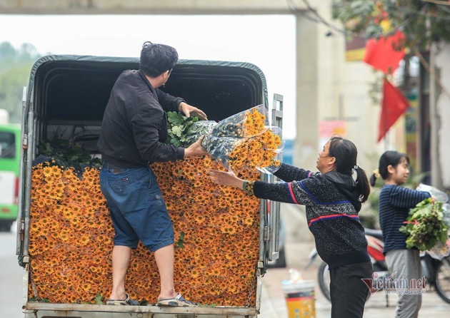 Tai họa ngày cận Tết, cả làng hoa Hà Nội 'ngồi trên đống lửa'