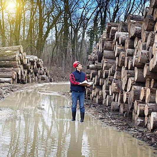 Tám nghề nghiệp nghe đến đã ái ngại nhưng kiếm được bộn tiềnicon