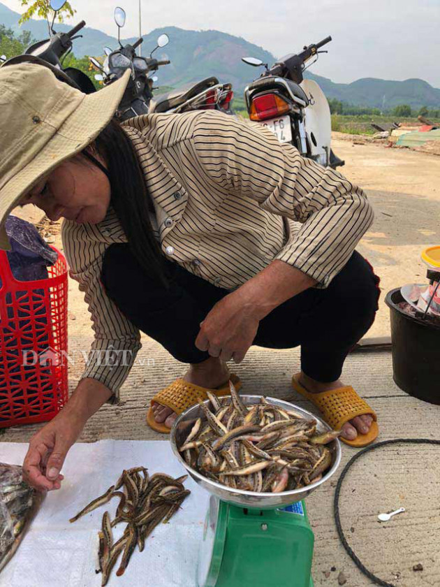 'Tam vương' của loài cá suối ngon, hiếm cỡ nào mà nhiều người tìm mua?