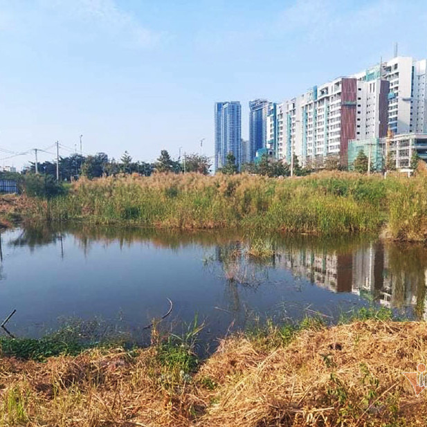 Tân Hoàng Minh bỏ cọc, ‘đất vàng’ Thủ Thiêm về tay nhà đầu tư nước ngoài?