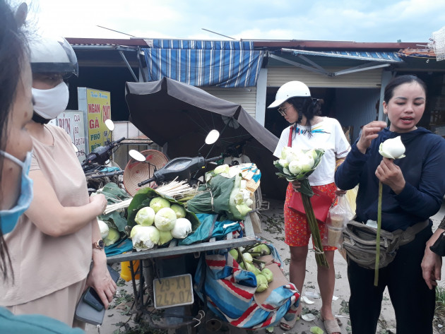 Tết Đoan Ngọ sen trắng cháy hàng, 100 ngàn/bó khách tranh nhau