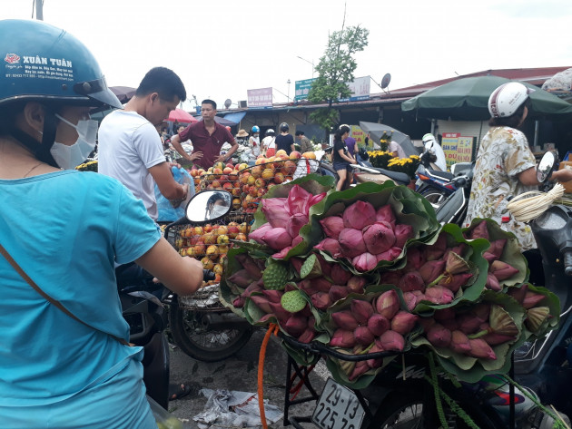 Tết Đoan Ngọ sen trắng cháy hàng, 100 ngàn/bó khách tranh nhau