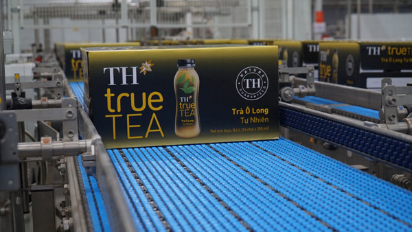 TH true TEA - hương vị tinh túy từ trà xanh, trà Ô long