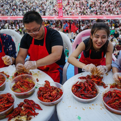 'Tham thì thâm': Nuôi tôm hùm đất hậu quả khó lường,icon