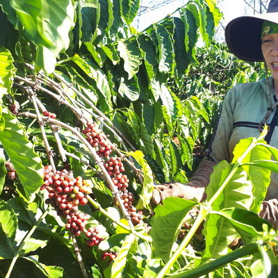 Thế giới suy giảm, Việt Nam-nước hiếm hoi có tăng trưởngicon