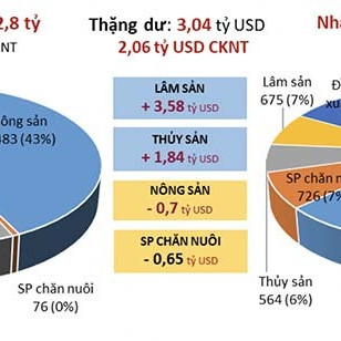 Thế mạnh Việt Nam thắng lớn, thu về chục tỷ đôicon