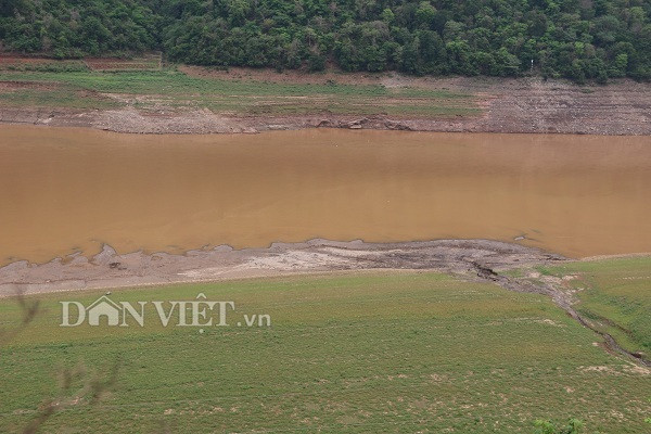 Ngư phủ sông Đà săn cá măng khủng ví như 'thủy quái'