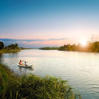 Thiên nga, vịt trời tự do di chuyển giữa khu đô thị