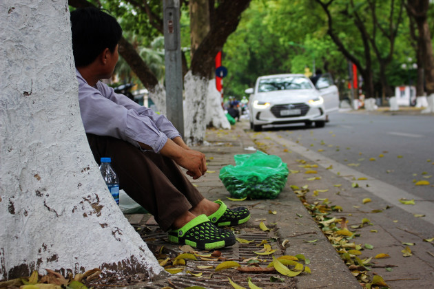 Thợ trèo sấu Hà thành thu nhập trăm triệu mỗi vụ