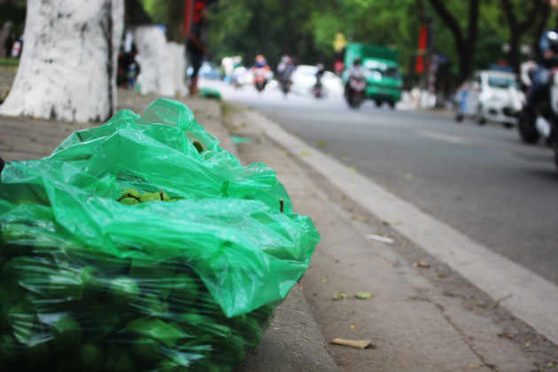 Thợ trèo sấu Hà thành thu nhập trăm triệu mỗi vụ