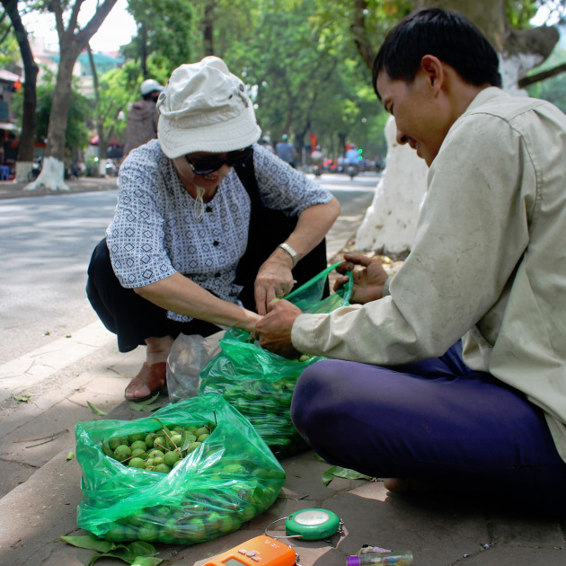 Thợ trèo sấu Hà thành thu nhập trăm triệu mỗi vụ