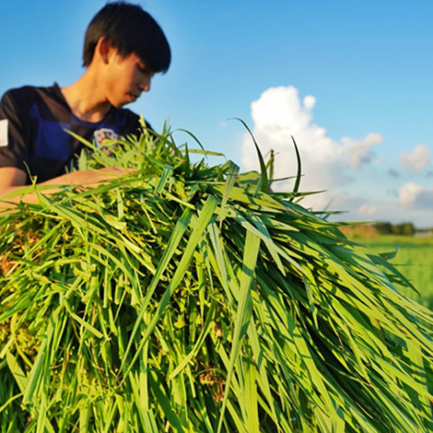 Thông đường tiêu thụ hàng vạn tấn nông sản cho DN, nông dânicon