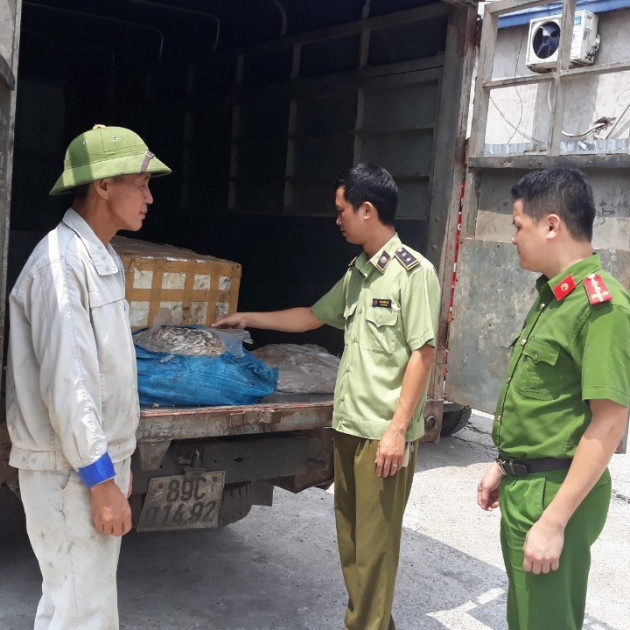 Thu gom hàng tấn lòng lợn, chân gà trôi nổi kiếm lờiicon