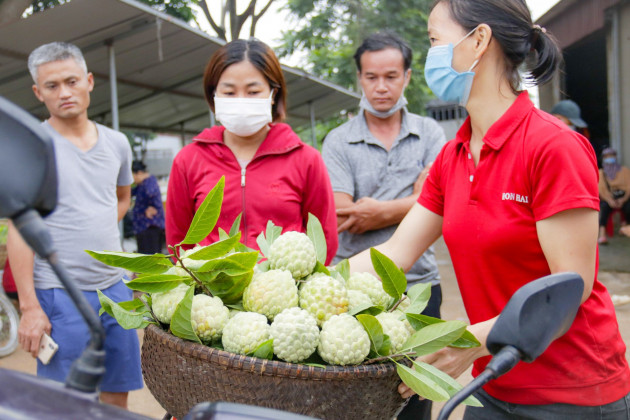 Thu hàng trăm tỷ đồng mỗi năm nhờ trồng loại quả vừa ngọt vừa dai - 3