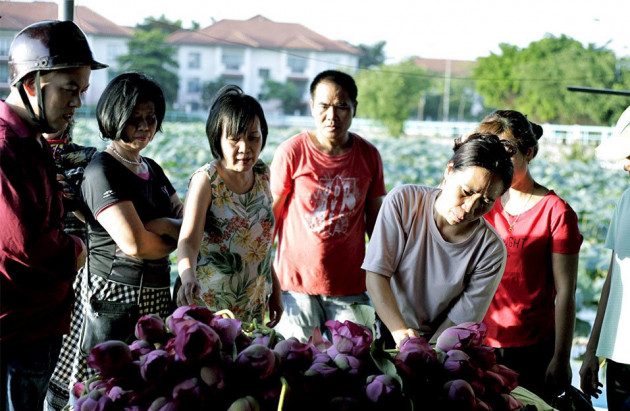 Thu nhập 'khủng' nhờ trồng sen Hồ Tây