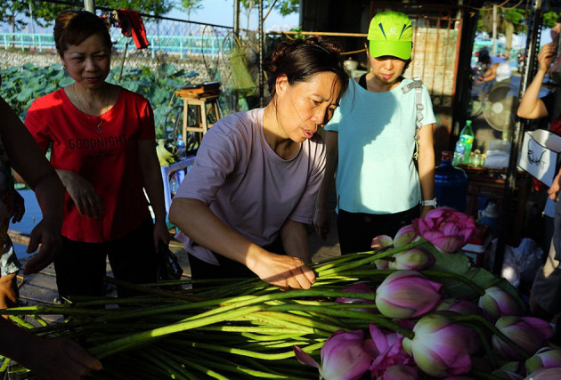 Thu nhập 'khủng' nhờ trồng sen Hồ Tây