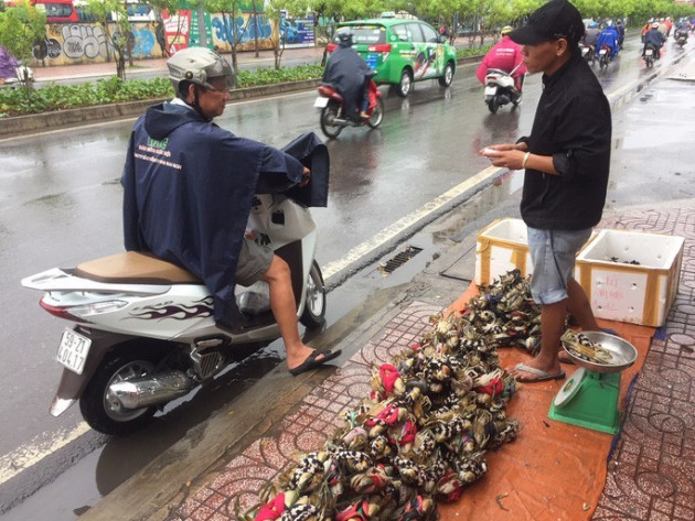 Thực hư cua Cà Mau 50.000 đồng/3 con bán đầy đường, 'bao ăn'