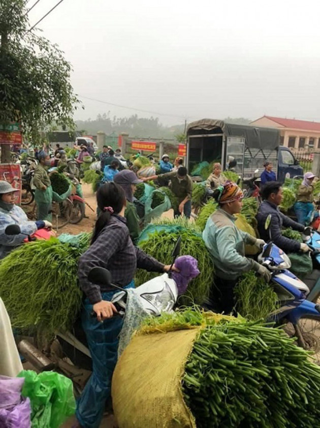 Tiết lộ đáng sợ, không nhúng thuốc không dám bán sầu riêng