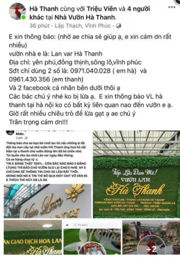 Tin đồn chủ vườn lan đột biến bỏ trốn: Số tiền bị lừa có thể lên đến 700 tỷ đồng?