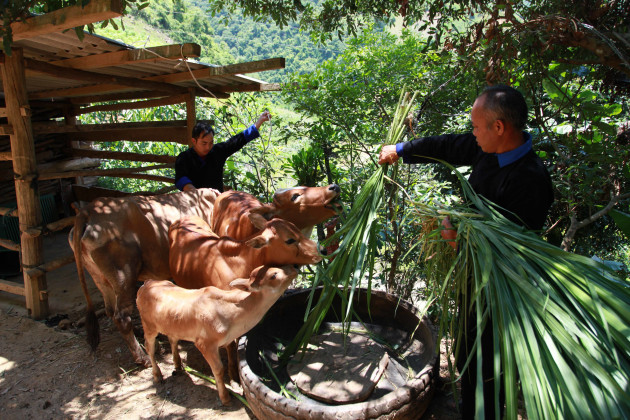 Tín dụng chính sách, không phải nước nào cũng làm được như Việt Nam