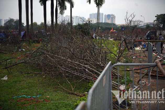 'Toang' chiều 30 Tết: Quất xả hàng đồng giá, đào giá nào cũng bán