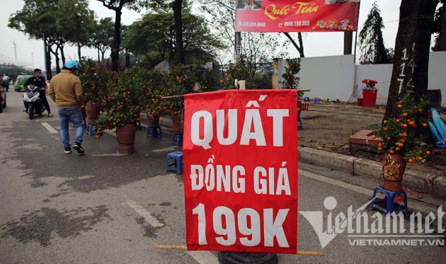 'Toang' chiều 30 Tết: Quất xả hàng đồng giá, đào giá nào cũng bán