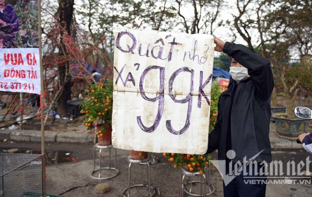 'Toang' chiều 30 Tết: Quất xả hàng đồng giá, đào giá nào cũng bán