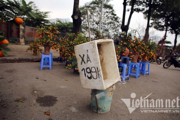 'Toang' chiều 30 Tết: Quất xả hàng đồng giá, đào giá nào cũng bán