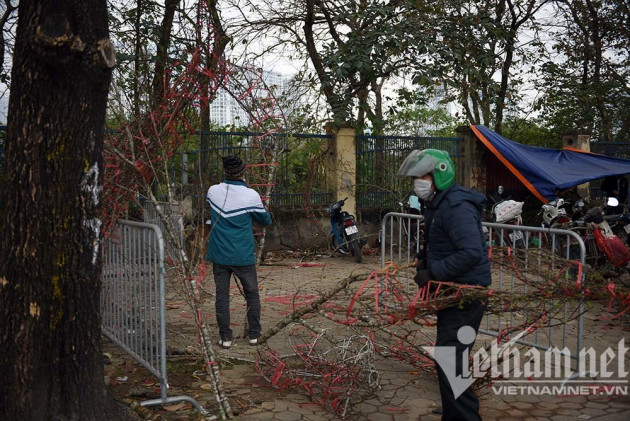 'Toang' chiều 30 Tết: Quất xả hàng đồng giá, đào giá nào cũng bán